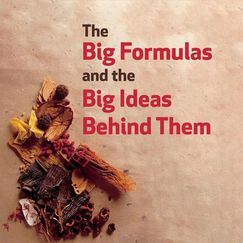 The Big Formulas and the Big Ideas Behind Them